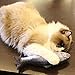 Cozlly 5 Stück Katzenspielzeug Fisch mit Katzenminze, 20CM Plüsch Fischspielzeug, Katzenminze Kissen, Spielzeug Katze, Katze Interaktive Spielzeug für Haustiere