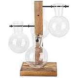 [ lisse] La lisse du mini-vase favorise une bonne perméabilité à l'air pour une croissance saine des fleurs.