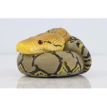 Animal Heavenly Body Studio Snake Model Python Reticulates Figure Home Decor Gift