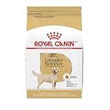Royal Canin Breed Health Nutrition Labrador Retriever Adult Dry Dog Food, 17 lb Bag