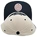 Mitchell & Ness Los Angeles Kings NHL Evergreen Cream Black Snapback Hat Cap