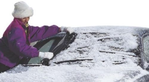 Winter Warrior Windshield Cover