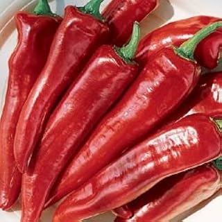 Pepper Hungarian Sweet Wax 500 Seeds
