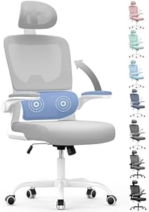 Naspaluro Silla Oficina Ergonómica