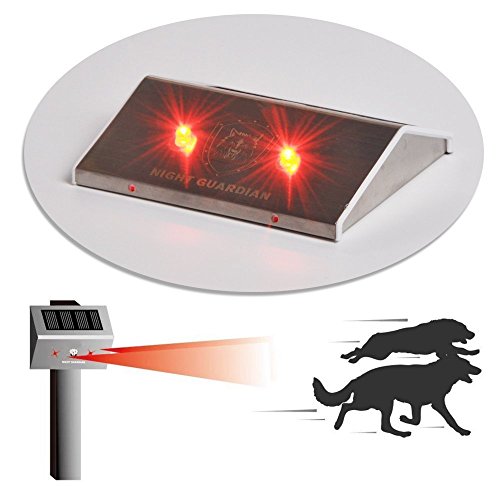 Solar Powered LED Predator deterrente Luce /