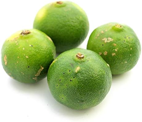 シークワーサー 1kg 沖縄の代表的柑橘 サンマや松茸に 沖縄県産 低農薬栽培 食品 飲料 お酒 シークワーサー 1kg 沖縄の代表的柑橘 サンマや松茸に 沖縄県産 低農薬栽培 食品 飲料 お酒