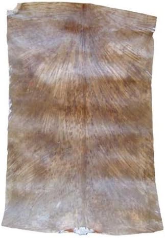 Africa Heartwood Project West African Goat Skin Djembe Drum Head - Standard Thickness, Shaved - Full size (21" minimum)