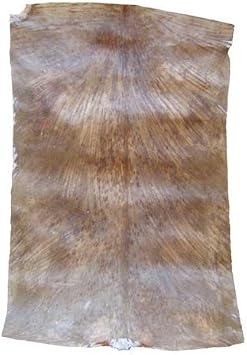 Africa Heartwood Project West African Goat Skin Djembe Drum Head - Standard Thickness, Shaved - Full size 21" minimum