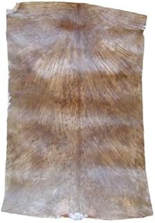 Africa Heartwood Project West African Goat Skin Djembe Drum Head - Standard Thickness, Shaved - Full size (21" minimum)