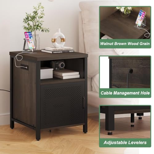 FATORRI End Table with Storage, Rustic Side Table for Living Room, Narrow Wood and Metal Bedside Tables with Door (Walnut Brown)