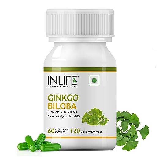 Inlife Ginkgo Biloba Extract For Healthy Brain Function - 120Mg (60 Vegetarian Capsules)
