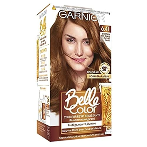 Coloration permanente Garnier Belle Color C6063174 crème colorante châtain