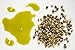 Hemp Seed Oil - 100% Pure Unrefined Cold Pressed Organically Sourced All Natural Non GMO Extra Virgin Undiluted Carrier Oil - 32 oz - 1 Quart - For DIY Essential Oils Cosmetics - Packaging May Vary