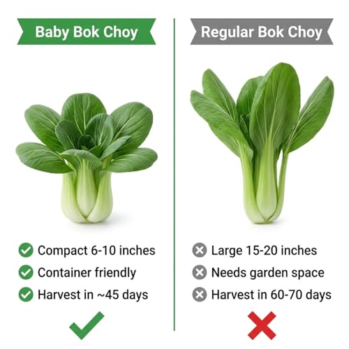 2500 Baby Bok Choy Seeds Pak Choi Variety for Hydroponic Systems and Garden Beds Compact Cool Season Vegetable for Home Growing - Thumbnail 7