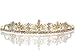 Bridal Wedding Tiara Crown With Gold Flowers 4652G5