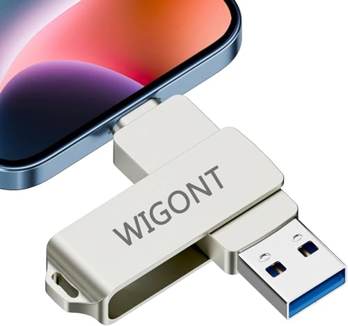 【Nessuna APP】WIGONT Chiavetta USB 256 GB, Memoria Esterna lphone Bello