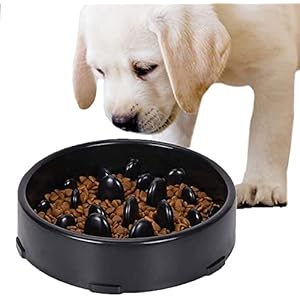 GWL langsame Fütterung Hundenapf, Anti Schling Hundenapf, rutschfest Fressnapf zur Langsameren Nahrungsaufnahme, Anti-Schluck Futternapf für Haustier, Interessanter interaktiver Hundenapf (Schwarz)
