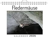 Fledermäuse: (Wandkalender 2026, Kalender DIN A4 quer, Monatskalender im Querformat mit Kalendarium, das perfekte Geschenk) - Theo Schubert 