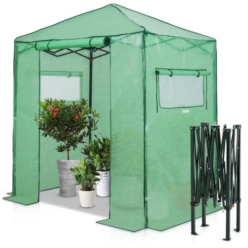 Image of EAGLE PEAK 6x4 Easy Setup Small Pop Up Greenhouse, Clear /Green