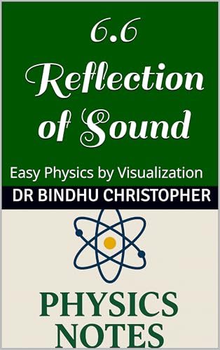 6.6 Reflection of Sound: A Conceptual Learning Resource (FOUNDATIONS PHYSICS SERIES Book 12)