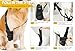 Bawektrl Dog Elbow Brace for Front Leg - Adjustable & Comfortable Support for Arthritis, Hygroma & Injury Recovery | Secure Fit for Active & Senior Dogs | Prevents Licking, Calluses (Vet-Recommended)
