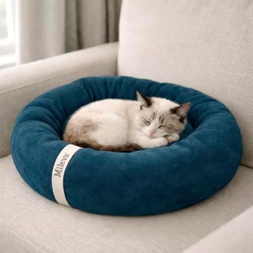 Cama De Gato Caminha Nuvem Ninho Pet Soft Redonda 50cm (Azul Gris...