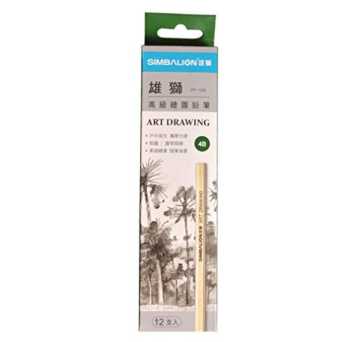 disegno professionale schizzo matita, disegno carbonio schizzo matita 4B, arte forniture