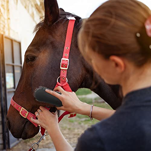 Harrison Howard Horse Grooming Kit 11-Piece Equine Care Series Horse Brush Sets With Organizer Tote Bag Tack Room Supplies Shedding Grooming Massaging Tools-Dark Charcoal #TOP3