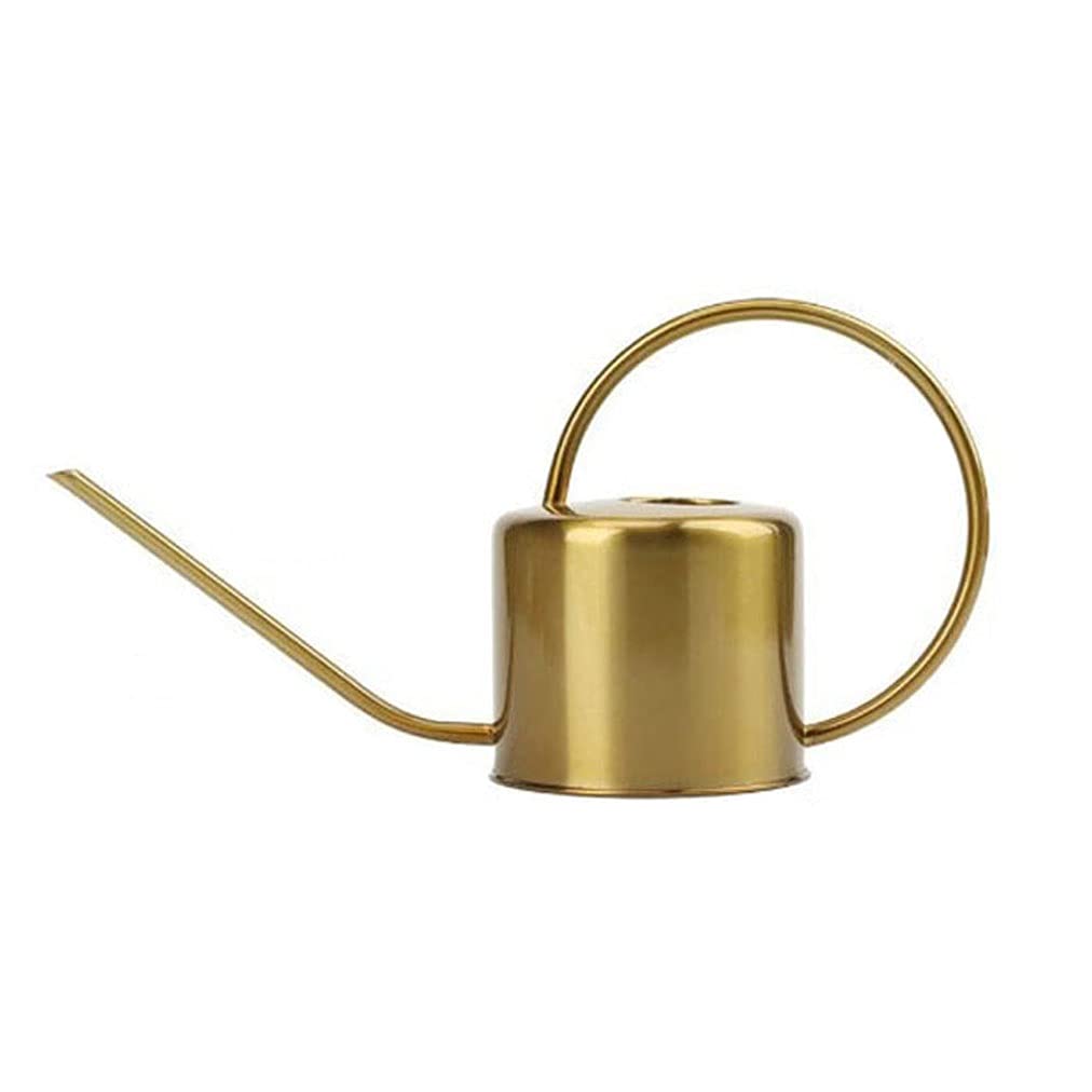 Długa Wylewka Podlewanie Puszka 1000ml Ze Stali Nierdzewnej Podlewanie Garnek Retro Ogrodnictwo Narzędzia do Home Office, Kryty Outdoor House Plant Podlewanie (Color : Gold)