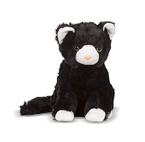 Midnight Cat