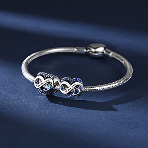 Birthstone Charm for Bracelet Necklace - 925 Sterling Silver Love Heart Happy Birthday Charm - Women's Jewelry Gift2