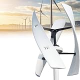 Nuxyyds Kit Generatore Eolico Verticale da 10000W, Turbina Eolica Trifase 12 V 24 V 48 V 220 V con Regolatore Mppt per Illuminazione Domestica, Giardino E Impianti Solari Ed Eolici 12V