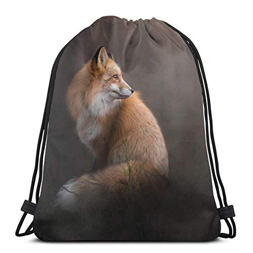 Sportbeutel Retro-Fuchs Turnbeutel Einstellbar Sport Beutel Kordelzug Verschluss Gym Bag Für Damen Herren 36X42 cm Cover