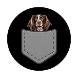 Zoom IMG-2 cucciolo di cocker spaniel inglese