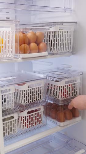 Coza - Organizador para Ovos Dry com Tampa 24 Unidades - Cristal