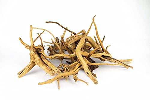 Spiderwood | 10-30 cm 20-30 cm - Afbeelding 3