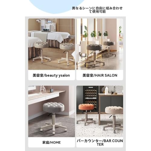 Effonek キャスター 回転 高さ調節 360°回転設計を備えた 着替え ヘア ネイルサロンに最適なビューティーサロンチェア (ダークグレー) [並行輸入品] [5]