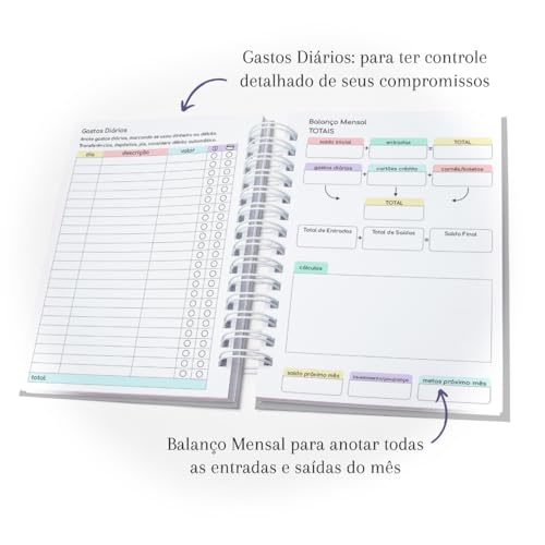 Planejador Financeiro - Minhas Contas Organizadas Capa Dura Pastel