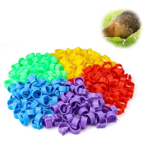 250 Stück Hühnerringe, HERKINDNESS 16mm Geflügel Fußringe, Klar und Leicht Verständlich Geflügelidentifikationsringe, Geflügelringe für Hühner, Gänse, Enten und Bauernhof