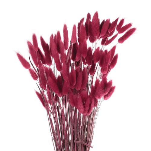 Mini herbe de pampa séchée violette pour bouquet durable sans entretien