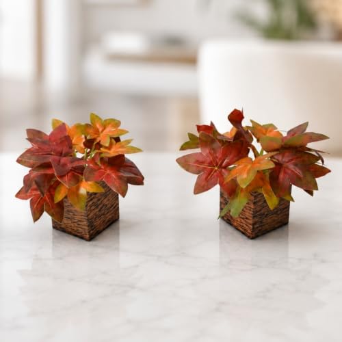 Image of DecoreBugs Artificial Real Touch Flower Plant with Pot (Pack of 2), 16 cm Height, Decorative Faux Floral Plant for Home, Office, Living Room, Bedroom, Table & Shelf Decor
