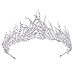 Produktbild Frcolor Vintage Queen Crown, Kristall Strass Barock Hochzeit Braut Tiara Prom Pageant Krone Stirnband (Silber)