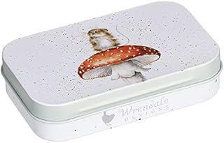 Wrendale Designs - 'He's A Fun-Gi' Mini Tin