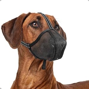 ILEPARK Muselière pour Chien, Muselière en Maille Douce Ajustable pour Chiot Petit Moyen Grand Chien, Couvre Bouche Anti Morsure Anti Mâchouillis, Respirant(M, Noir)