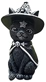 Anerke Mysterious Magic Hat Cat, Witch Cat Statue, Synthetic Resin, Silver, 11CM, Black.