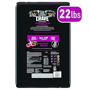 CRAVE Grain Free Excessive Protein Grownup Dry Canine Meals with Lamb, 22 lb. Bag