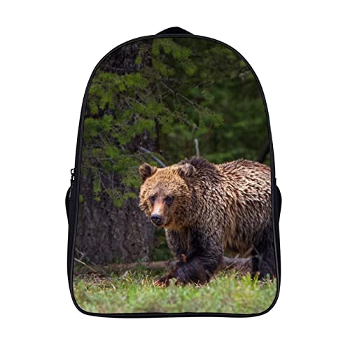 Sac à dos étudiant mode ours - Sac d'école unisexe adolescent grand volume 3D