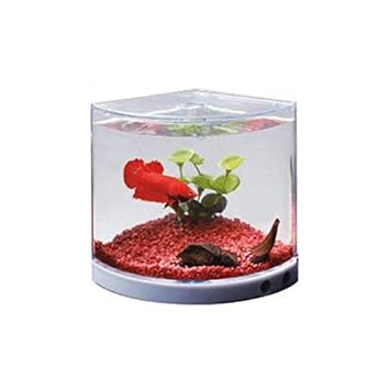Lovely Pets Kingdom Plastic Aquarium Fish Mini Tank
