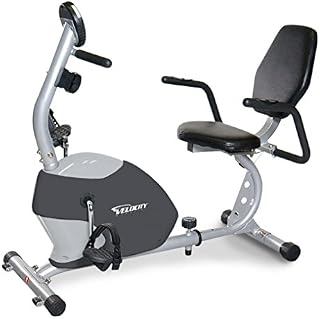 Velocity Exercise Gray Recumbent Exercise Bike