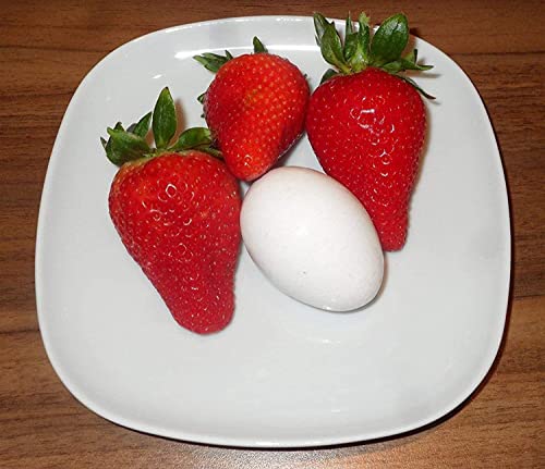 200Pcs Giant Strawberry Seeds, Sweet Red Strawberry Garden Strawberry Fruit Seeds, For Garden Planting #TOP1